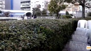 国语np